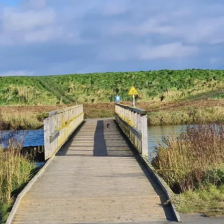 Hafen Zwei * Fedderwardersiel