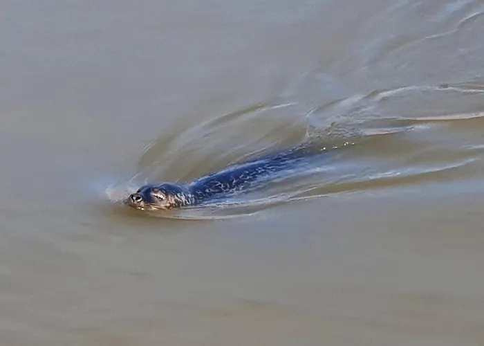 Διαμέρισμα Hafen Zwei *