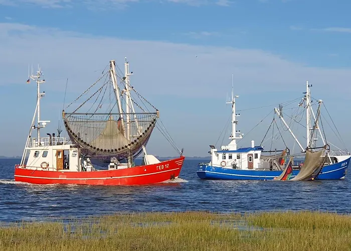 Διαμέρισμα Hafen Zwei